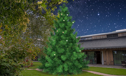 Tree of Light